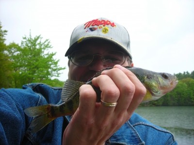 Photo of Perch Caught by William  with Mepps Thunder Bug in United States