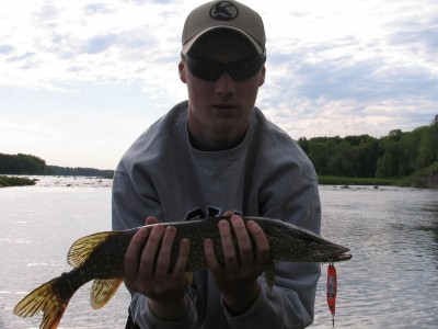 Photo of Pike Caught by Charles William with Mepps Syclops in Quebec