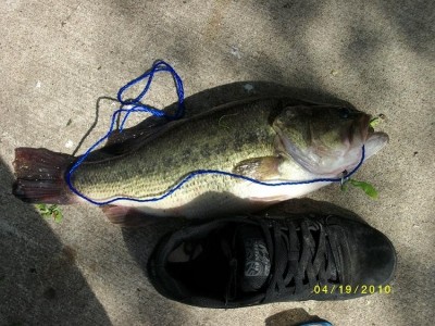 Photo of Bass Caught by Michael with Mepps Aglia & Dressed Aglia in Iowa