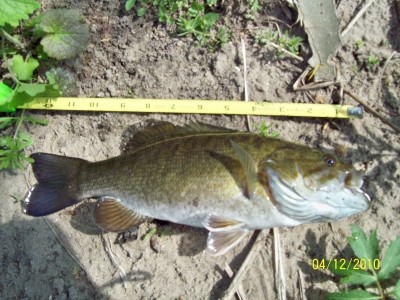 Photo of Bass Caught by Dan with Mepps Aglia Ultra Lites in Illinois