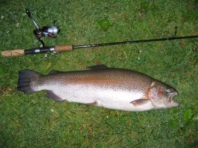 Photo of Trout Caught by Dave  with Mepps  in New Jersey