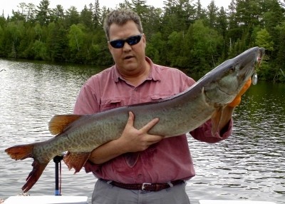 Photo of Musky Caught by Mark with Mepps Musky Killer in Ontario