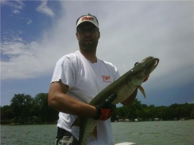 Photo of Musky Caught by Steve with Mepps Giant Killer in Minnesota