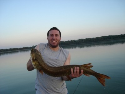 Photo of Musky Caught by Aaron with Mepps Musky Marabou in Wisconsin
