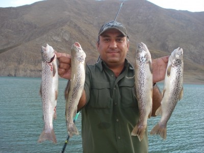 Photo of Trout Caught by Alireza with Mepps Aglia & Dressed Aglia in Iran