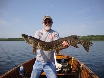 Photo of Pike Caught by Don with Mepps Mepps Marabou in Ontario