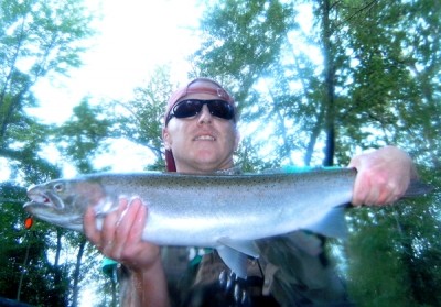 Photo of Steelhead Caught by Ted with Mepps Aglia Ultra Lites in Indiana