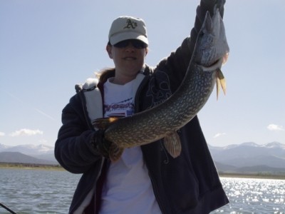 Photo of Pike Caught by Michaeleen  with Mepps Aglia & Dressed Aglia in United States