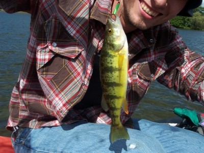 Photo of Perch Caught by Tony with Mepps  in Michigan