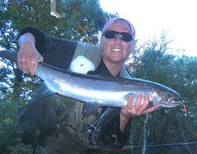 Photo of Steelhead Caught by Ted with Mepps Aglia & Dressed Aglia in Indiana