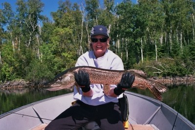 Photo of Pike Caught by Dena  with Mepps Black Fury in Minnesota