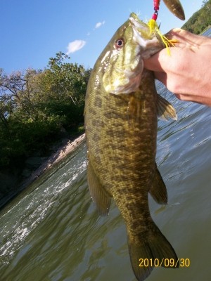 Photo of Bass Caught by Donnie  with Mepps Aglia Long in Illinois