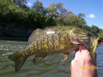 Photo of Bass Caught by Donnie with Mepps Aglia Long in Illinois