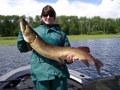 Photo of Musky Caught by Pamela with Mepps Giant Killer Sassy Shad in Wisconsin