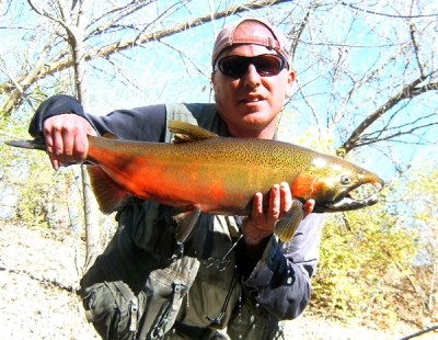 Photo of Salmon Caught by RTed with Mepps Aglia & Dressed Aglia in Indiana