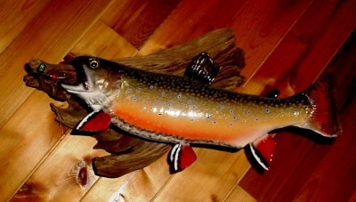 Photo of Trout Caught by Brian with Mepps Black Fury in Michigan