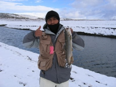 Photo of Trout Caught by Oscar with Mepps Aglia & Dressed Aglia in Idaho