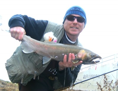 Photo of Salmon Caught by Ted with Mepps Aglia & Dressed Aglia in Indiana