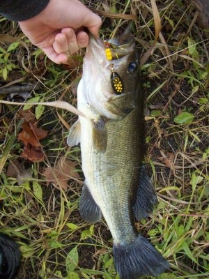 Photo of Bass Caught by Nicholas with Mepps Black Fury in Illinois
