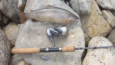 Photo of Trout Caught by Mobeen with Mepps Thunder Bug in Pakistan