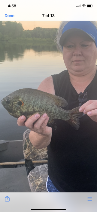 Photo of Sunfish Caught by Andy with Mepps Aglia Long in Arkansas