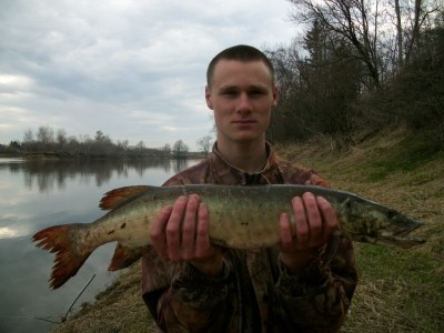 Photo of Musky Caught by Charles-William with Mepps Syclops in Quebec