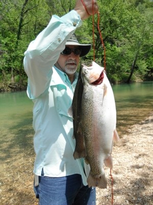 Photo of Trout Caught by Michael with Mepps Aglia BRITE in Missouri