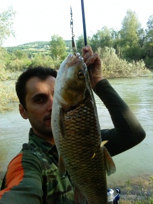 Photo of Bass Caught by Giorgos with Mepps Aglia & Dressed Aglia in Greece