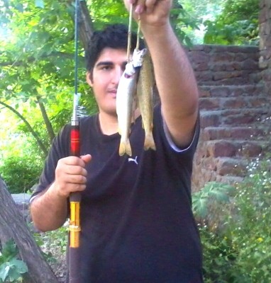 Photo of Trout Caught by Alireza with Mepps  in Iran