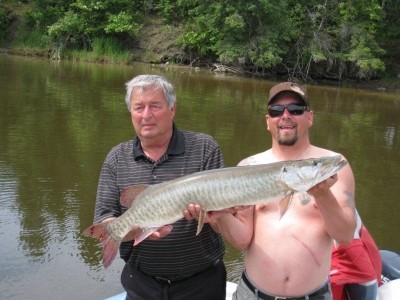 Photo of Musky Caught by Russ with Mepps Aglia & Dressed Aglia in Ontario