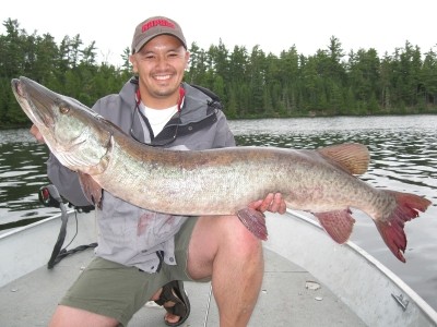 Photo of Musky Caught by Nam with Mepps Aglia & Dressed Aglia in Ontario