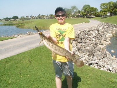 Photo of Gar Caught by James  with Mepps Aglia & Dressed Aglia in Florida