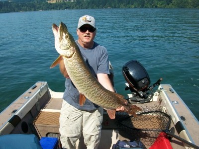 Photo of Tiger Musky Caught by Kim with Mepps Musky Killer in Washington