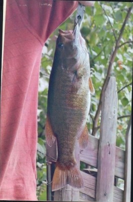 Photo of Bass Caught by James with Mepps Black Fury in New Hampshire