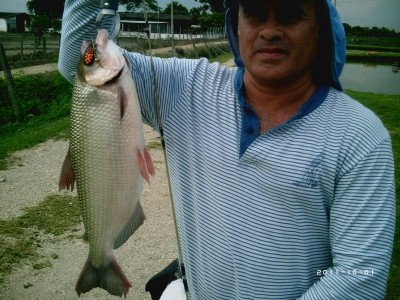 Photo of Yamu Caught by Uriel with Mepps Black Fury in Colombia