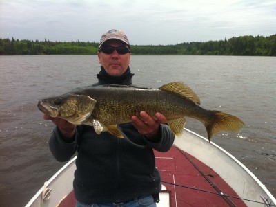 Photo of Walleye Caught by William with Mepps Aglia Marabou in Canada