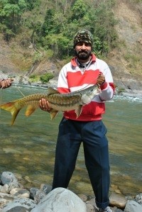 Photo of Golden Mahseer Caught by Jayanta with Mepps LongCast in India