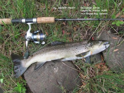 Photo of Trout Caught by Adrian with Mepps Thunder Bug in Australia
