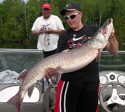 Photo of Musky Caught by Andrew with Mepps Black Fury in Ontario