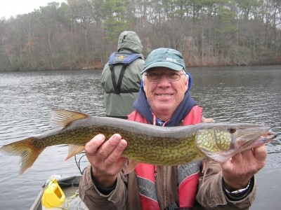 Photo of Pickerel Caught by Tim with Mepps Aglia & Dressed Aglia in Maryland