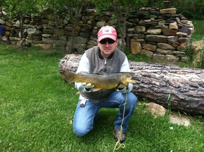 Photo of Trout Caught by Richard with Mepps Aglia & Dressed Aglia in Virginia