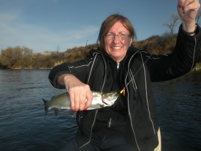 Photo of Trout Caught by Sheila with Mepps LongCast in Montana