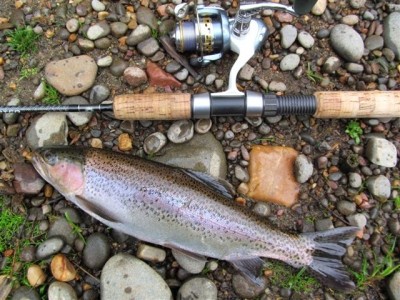 Photo of Trout Caught by Adrian with Mepps Black Fury Ultra Lites in Australia