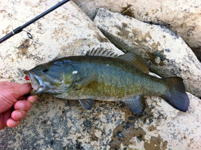 Photo of Bass Caught by Mohammed with Mepps Aglia Long in District of Columbia
