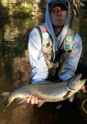 Photo of Trout Caught by Mike with Mepps Aglia & Dressed Aglia in Pennsylvania