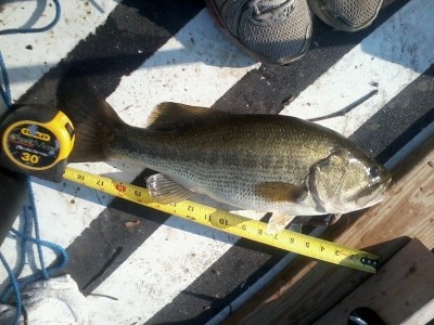 Photo of Bass Caught by Keith  with Mepps Comet Mino in Michigan