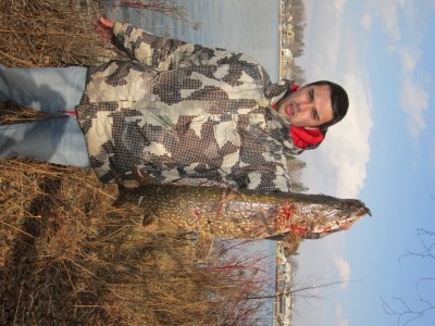 Photo of Pike Caught by Kevin with Mepps Syclops in Canada