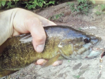 Photo of Bass Caught by John with Mepps Aglia & Dressed Aglia in Pennsylvania