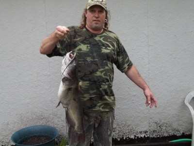 Photo of Catfish Caught by Dan with Mepps Aglia & Dressed Aglia in United States