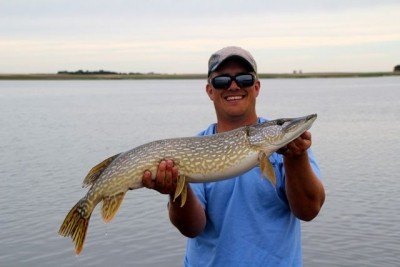 Photo of Pike Caught by Buddy  with Mepps Aglia & Dressed Aglia in Canada